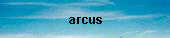 arcus